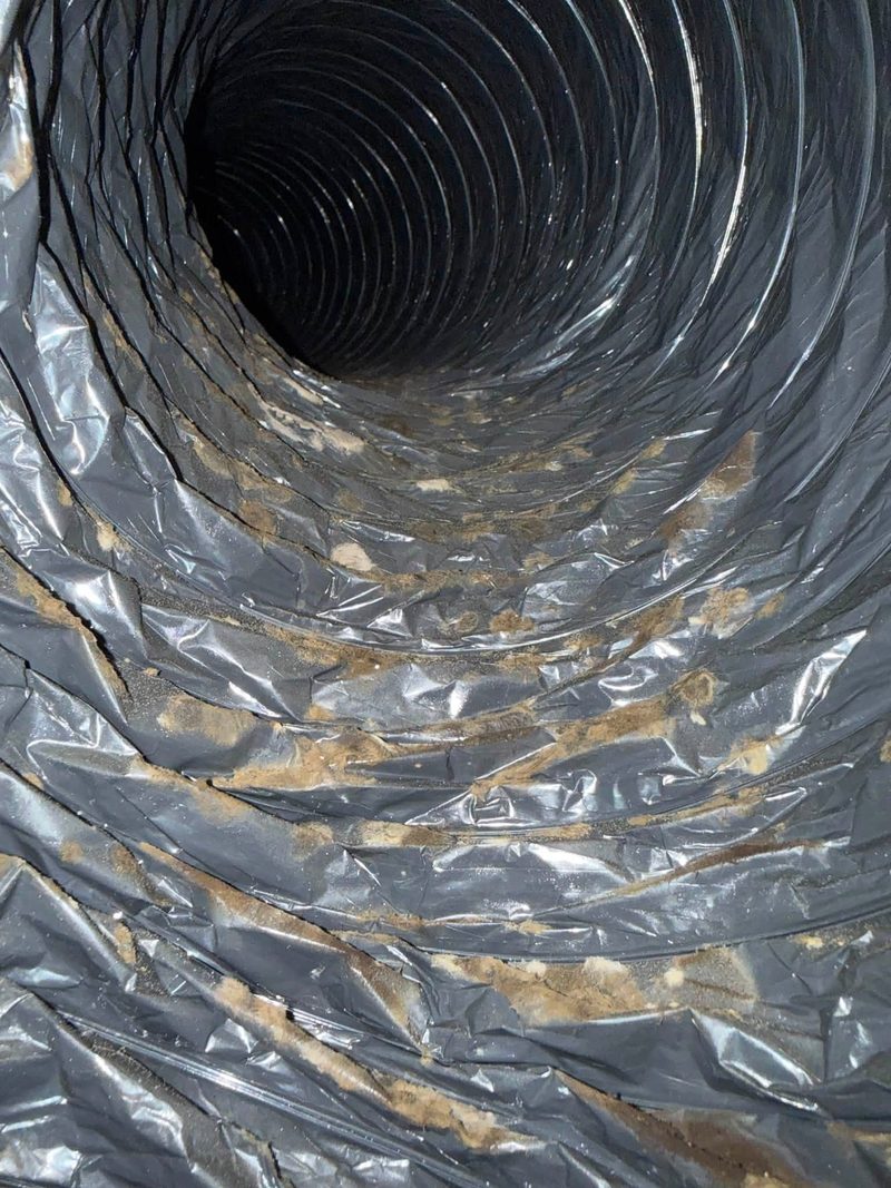 Interior of an insulated flex duct run showing debris in the spiral