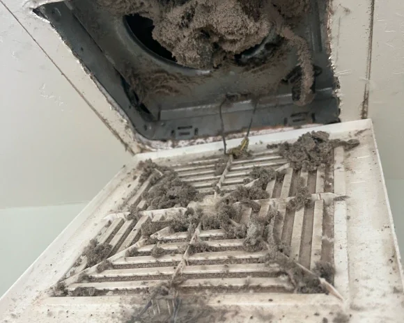 Indoor and Outdoor Coil Cleaning