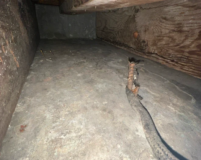 Refresh duct cleaning e