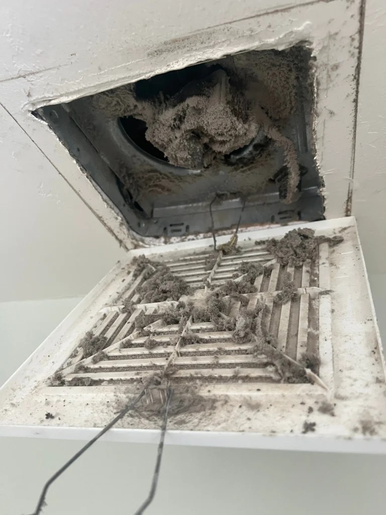Bathroom Fan Cleaning 2 Bathroom Fan Cleaning